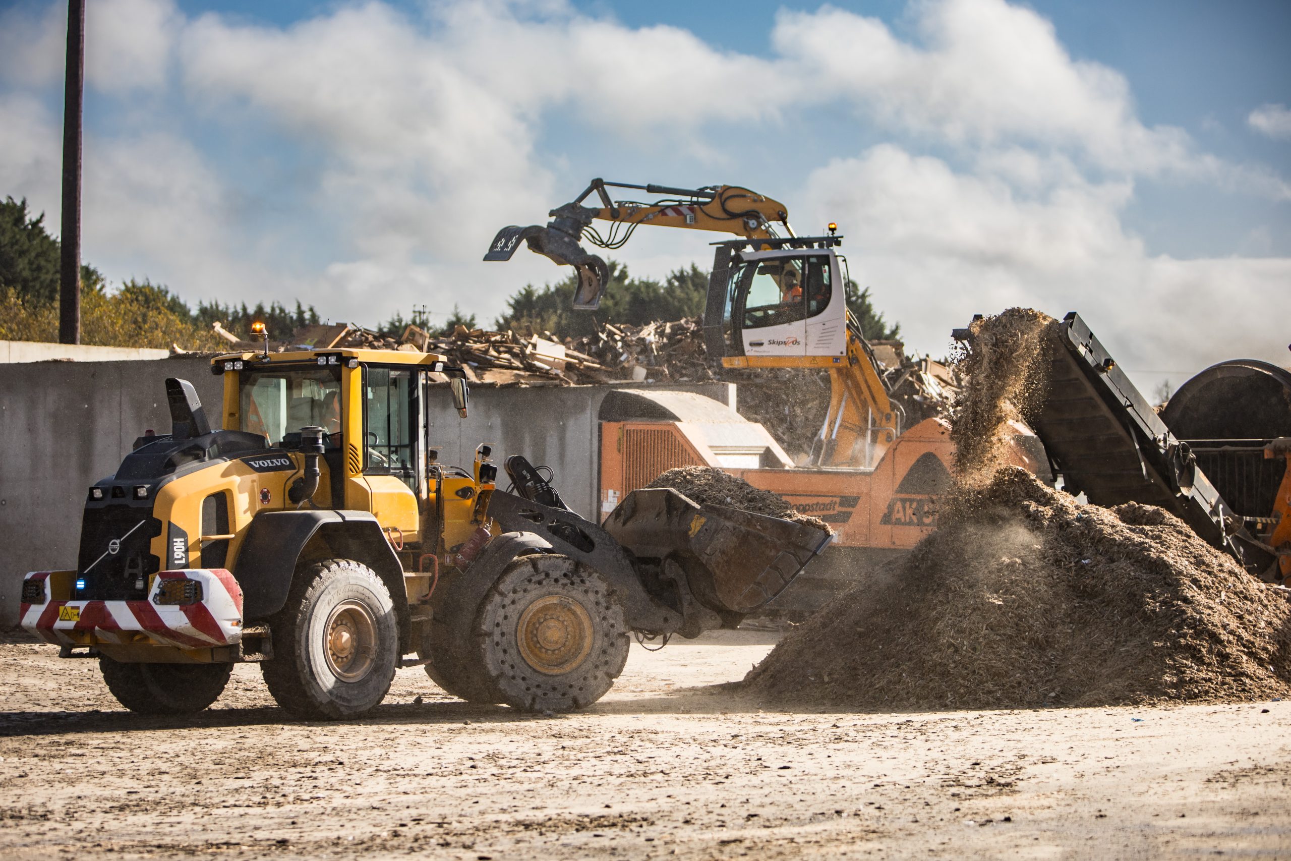 Biomass Yard 6