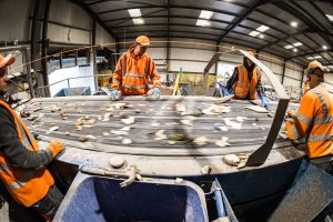 Waste Sorting